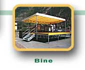 Bine