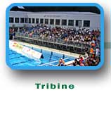 Tribine
